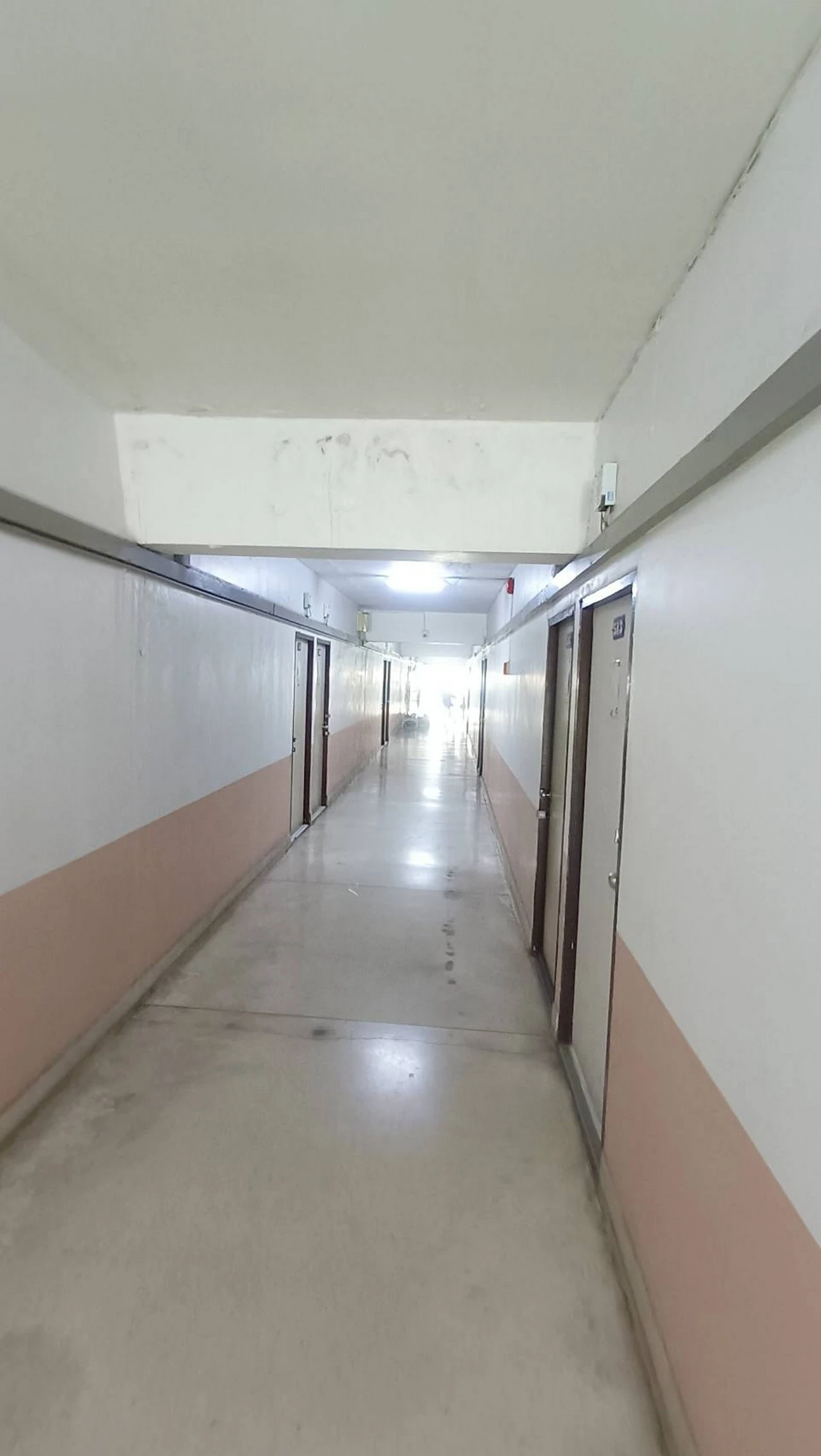48411.webp