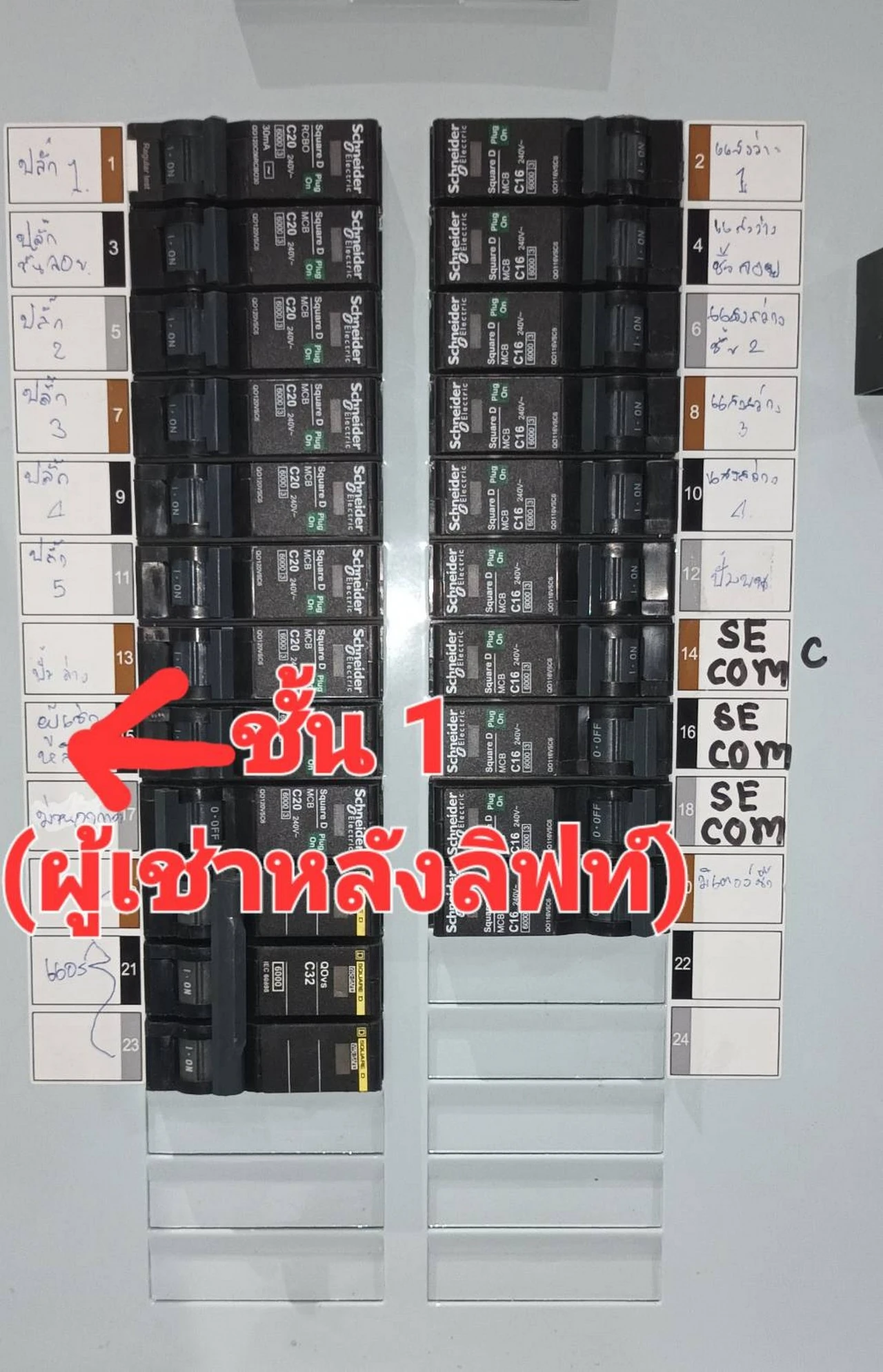 444068.webp