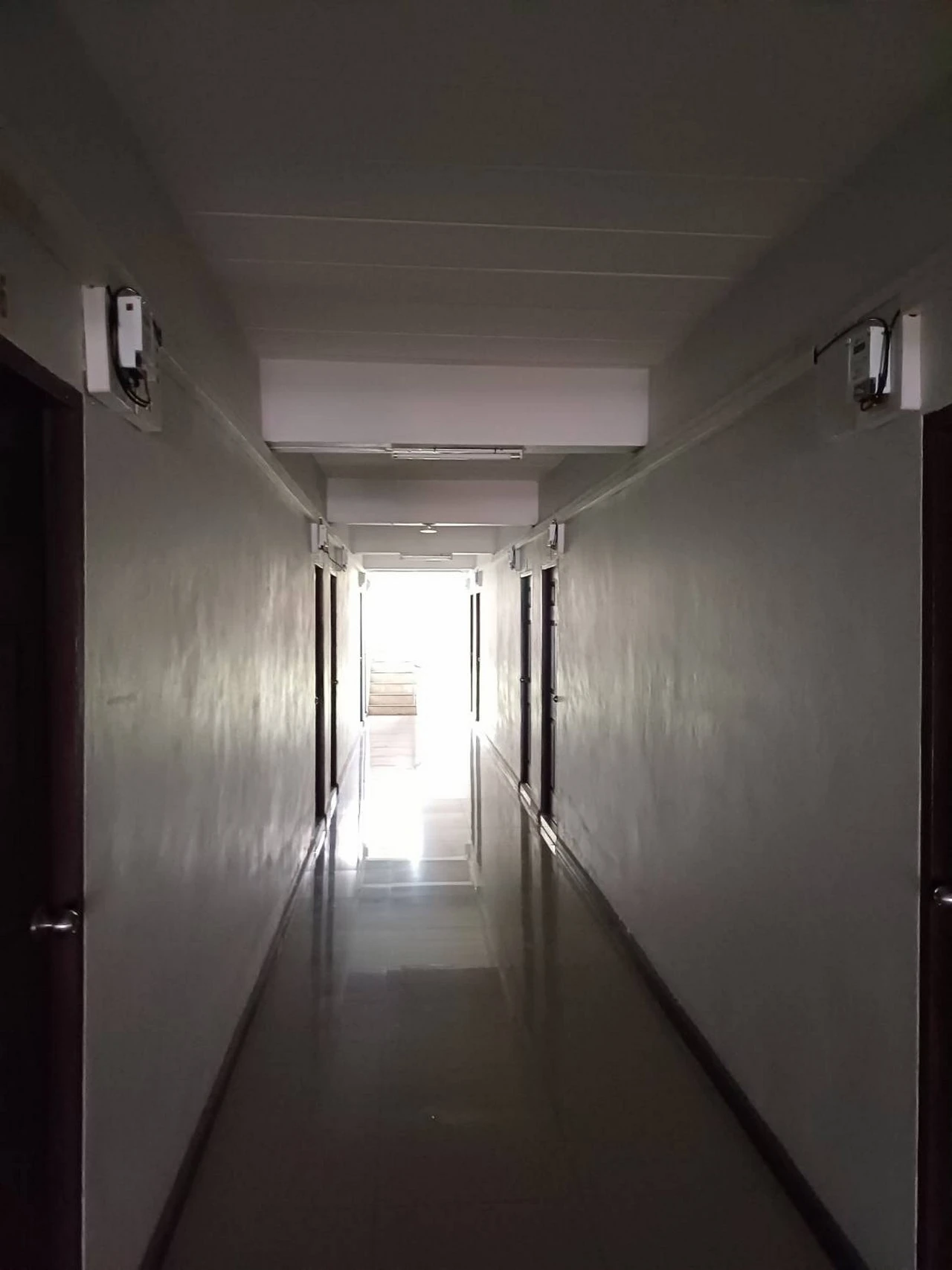 50825.webp